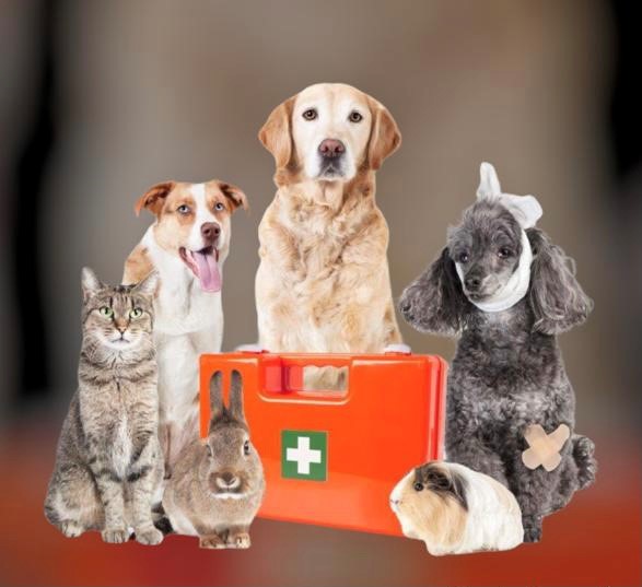 Our Specialist Pet, Vet, and Animal Health Division. 