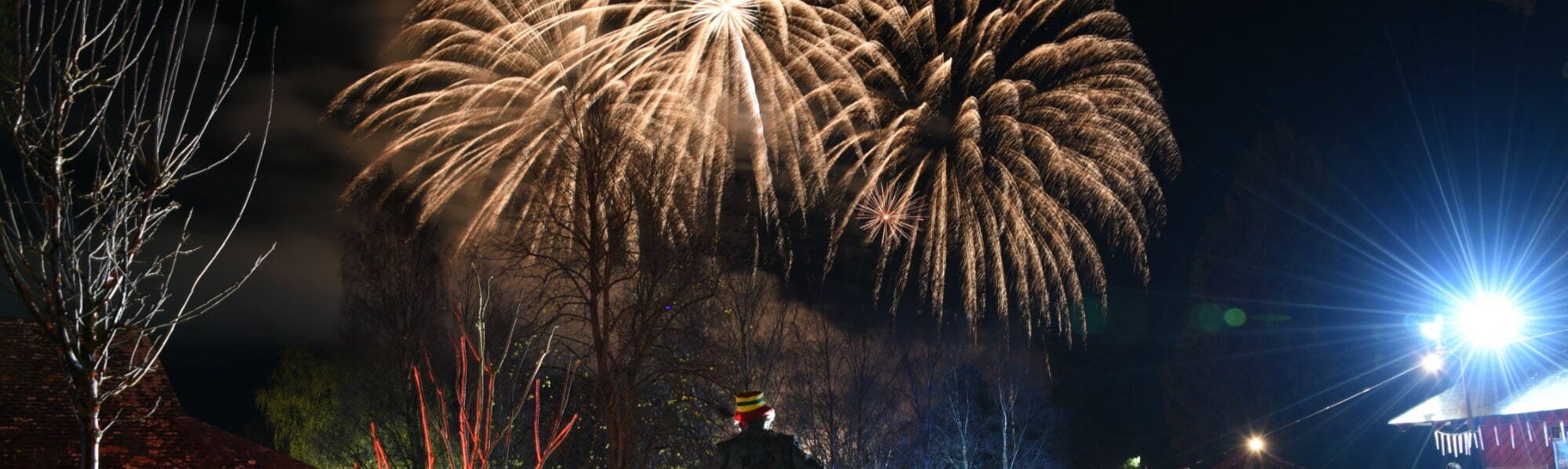 The Royal Welsh Winter Fair Firework Display