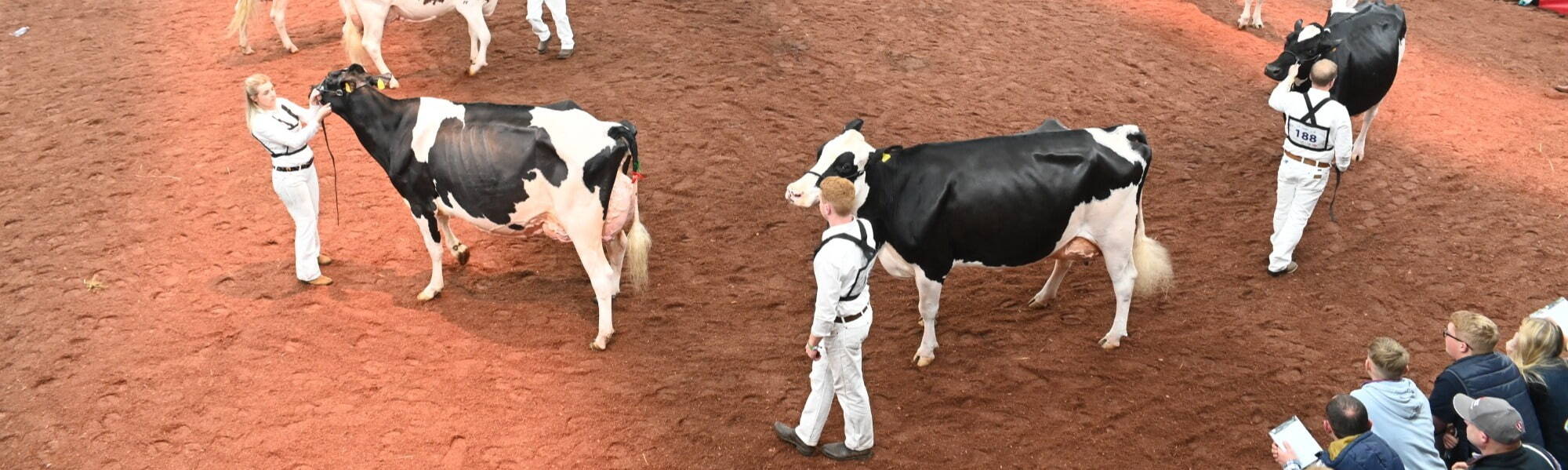 UK Dairy Day Show